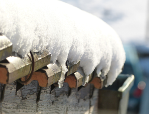 The Impact of Late Winter Snowfalls on Your Roof: What You Need to Know in 2024