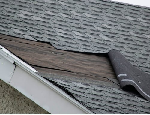 Essential Roof Repair Tips Every Homeowner Should Know