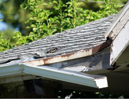 Maximizing Curb Appeal: How a New Roof Can Transform Your Des Moines or Cedar Rapids Home