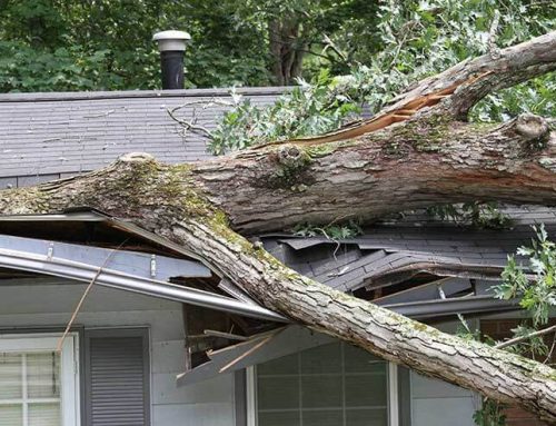 How to Handle Emergency Roof Repairs in Iowa
