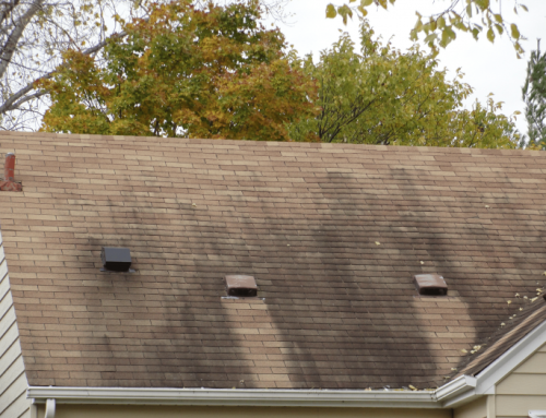 Moss and Algae Growth: Keeping Your Roof Clean