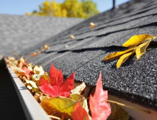 Siding Maintenance Tips to Keep Your Home Looking Great Through Fall and Winter