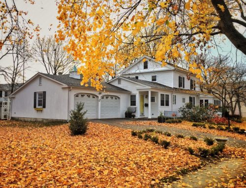 How to Spot Early Signs of Roof Damage Before Winter Hits